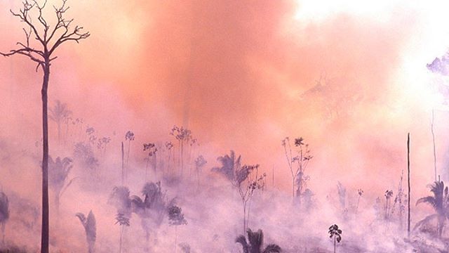 The Amazon Basin and other large swaths of forests are literally our life force. Without it, we'd have already been extinct. Of the countries that lost the most forest since 2001, four are located in South America. The World Resources Institute, which tracks global forest cover, reports deforestation is at it's worst in Brazil, Indonesia, Colombia, Peru, and Bolivia. In Brazil, there was a sharp rise in deforestation during July, which has been followed by extensive burning in August. Local newspapers say farmers in some regions are organising “fire days” to take advantage of weaker enforcement by the authorities. WE ARE ON A SUICIDE PATH. We have to work more to deserve to be on this earth of ours. It is our collective responsibility to protect and help save the planet. Besides making conscious life style changes, one of the other easier ways to help is by voting the right people into office.
If you get the chance to, please watch One Strange Rock on Netflix. It's a fascinating and stunning eye opener about our beautiful planet.