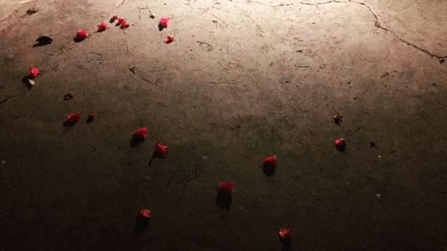 When we long for life without difficulties, remind us that oaks grow strong in contrary winds and diamonds are made under pressure.